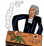 why marijuana should be illegal essay